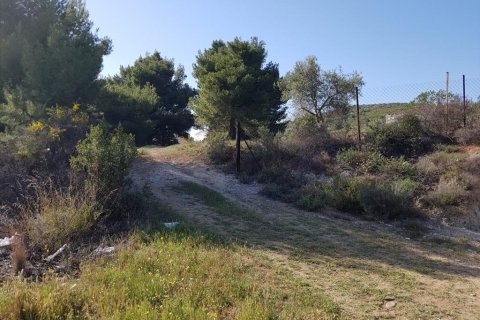 6500m² Land in Polygyros, Greece No. 58782 8