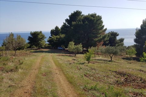 6500m² Land in Polygyros, Greece No. 58782 6