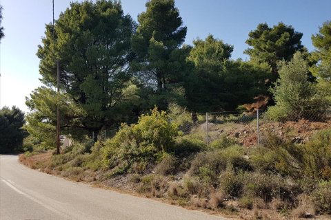 6500m² Land in Polygyros, Greece No. 58782 9