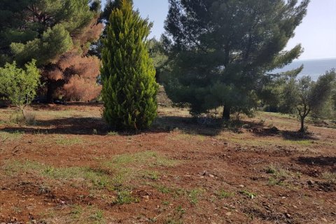 6500m² Land en Polygyros, Greece No. 58782 11