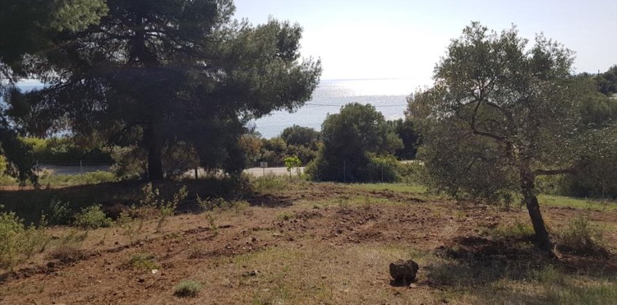 6500m² Land en Polygyros, Greece No. 58782