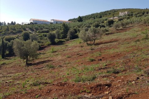 6500m² Land à Polygyros, Greece No. 58782 3