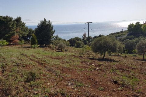 6500m² Land in Polygyros, Greece No. 58782 4