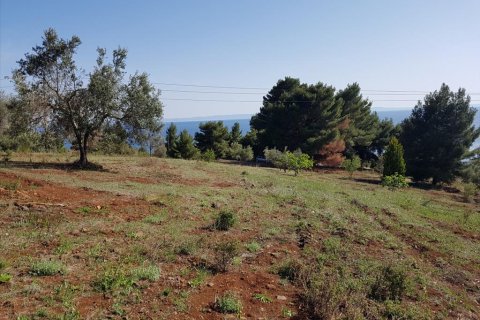 6500m² Land en Polygyros, Greece No. 58782 2