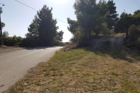 6500m² Land in Polygyros, Greece No. 58782 10