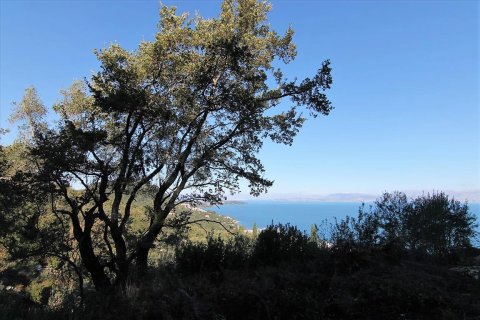 9000m² Land in Corfu, Greece No. 57757 14