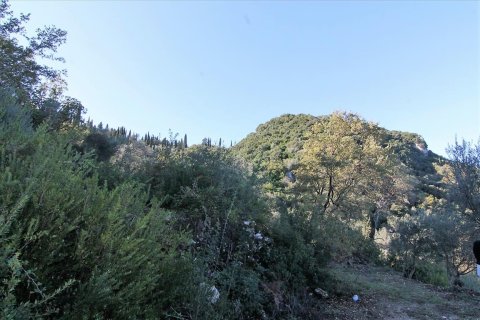 9000m² Land en Corfu, Greece No. 57757 17