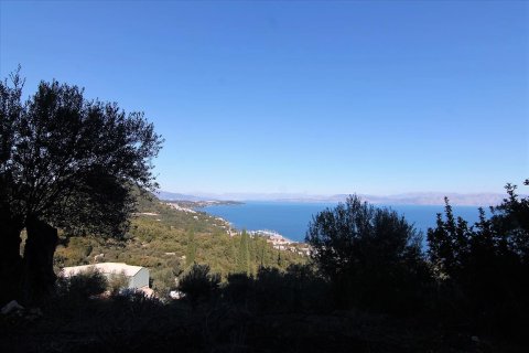 9000m² Land en Corfu, Greece No. 57757 5