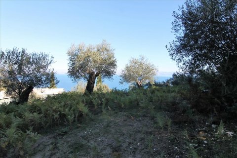 9000m² Land in Corfu, Greece No. 57757 7