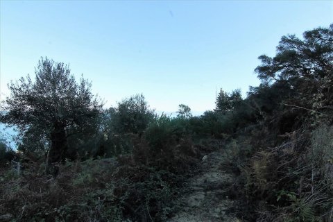 9000m² Land in Corfu, Greece No. 57757 10