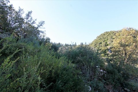 9000m² Land en Corfu, Greece No. 57757 18