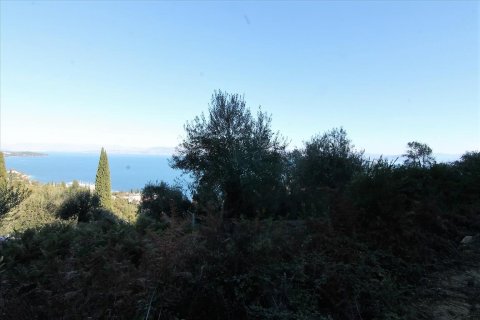 9000m² Land in Corfu, Greece No. 57757 11