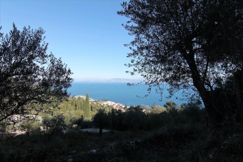 9000m² Land en Corfu, Greece No. 57757 1