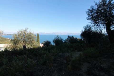 9000m² Land en Corfu, Greece No. 57757 3