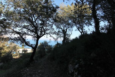 9000m² Land en Corfu, Greece No. 57757 12