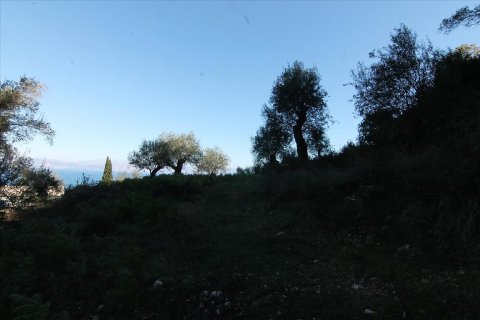 9000m² Land en Corfu, Greece No. 57757 6