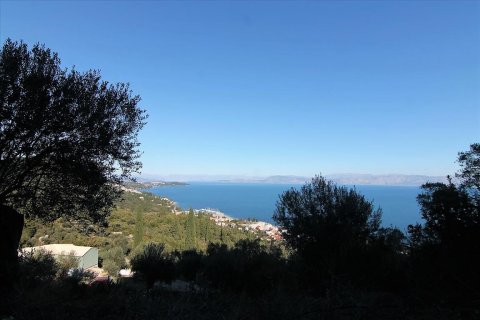 9000m² Land en Corfu, Greece No. 57757 2