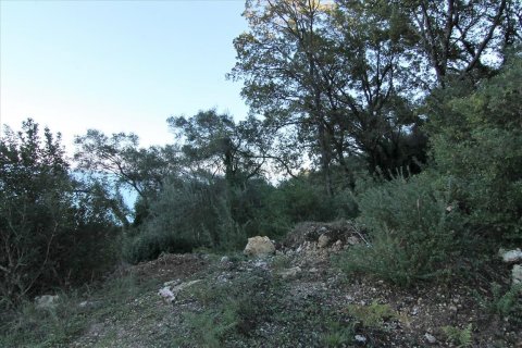 9000m² Land en Corfu, Greece No. 57757 16