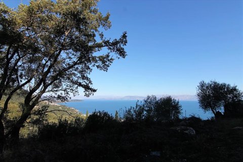 9000m² Land in Corfu, Greece No. 57757 13