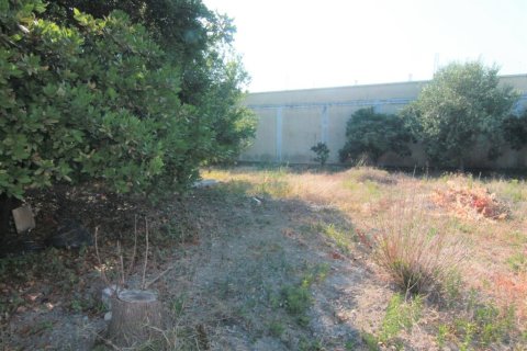 1342m² Land in Corfu, Greece No. 56249 2