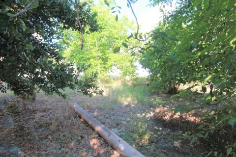 1342m² Land à Corfu, Greece No. 56249 8