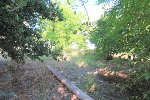 1342m² Land en Corfu, Greece No. 56249 14