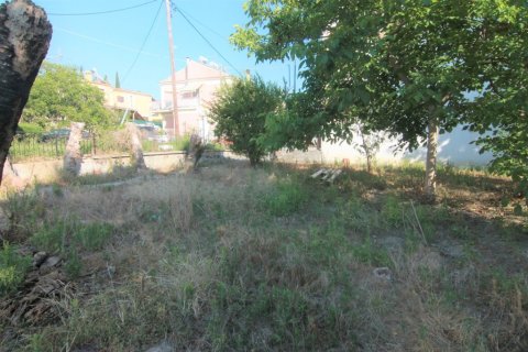 1342m² Land in Corfu, Greece No. 56249 9