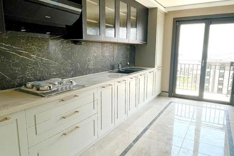 4+1 Appartement à Istanbul, Turkey No. 15308 5