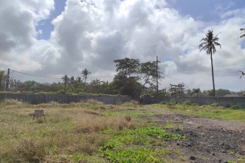 Land in Blahbatuh, Indonesia No. 23254 5