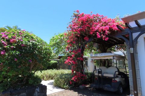 4 bedrooms Villa in Bel Ombre, Mauritius No. 60807 4