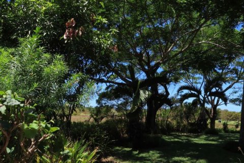 4 dormitorios Villa en Bel Ombre, Mauritius No. 60807 5