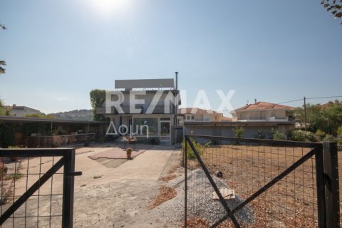 7 bedrooms Building in Magnesia, Greece No. 27982 10