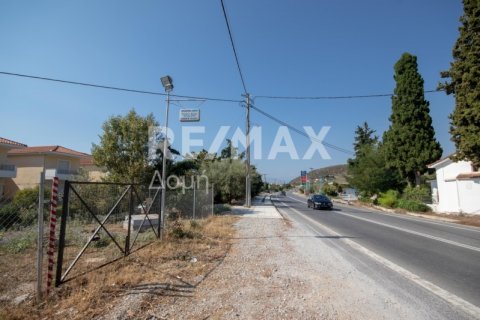 7 bedrooms Building in Magnesia, Greece No. 27982 7