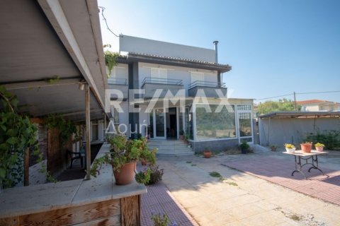 7 bedrooms Building in Magnesia, Greece No. 27982 13