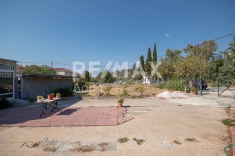 7 bedrooms Building in Magnesia, Greece No. 27982 14