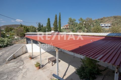 7 bedrooms Building in Magnesia, Greece No. 27982 23