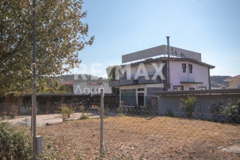 7 bedrooms Building in Magnesia, Greece No. 27982 4