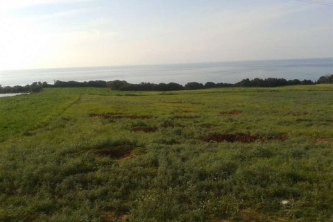 Land en Elis, Greece No. 28128 12