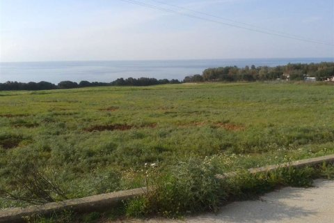 Land en Elis, Greece No. 28128 16