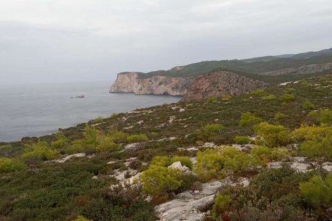 Land in Zakynthos, Greece No. 28127 19