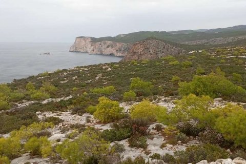 Land in Zakynthos, Greece No. 28127 4