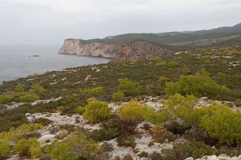 Land in Zakynthos, Greece No. 28127 20