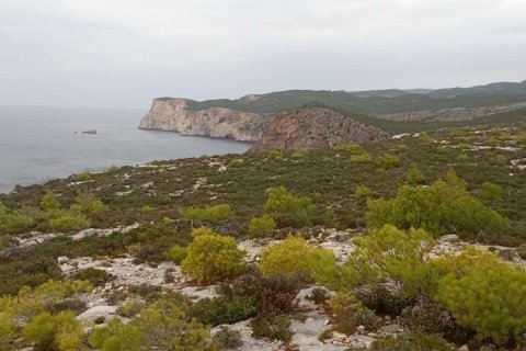 Land in Zakynthos, Greece No. 28127 1