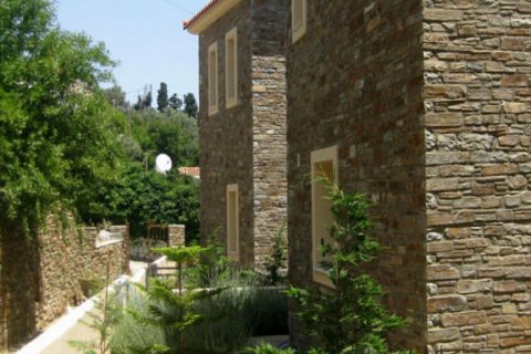 198m² Villa à Andros, Greece No. 59132 12