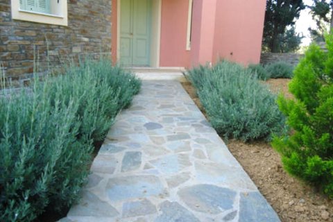 198m² Villa à Andros, Greece No. 59132 6