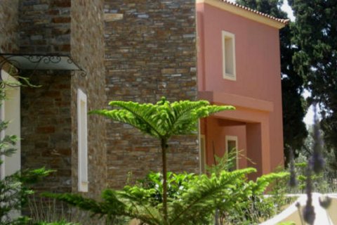 198m² Villa à Andros, Greece No. 59132 10