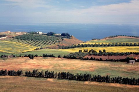 210000m² Land in Thermaic Gulf, Greece No. 60448 10