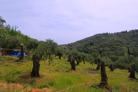 15233m² Land à Corfu, Greece No. 60449 5