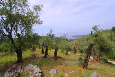 15233m² Land en Corfu, Greece No. 60449 4