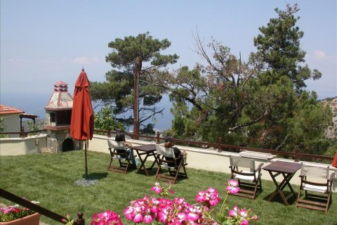 318m² Hotel in Thasos, Greece No. 59160 3